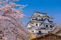 Hikone Castle in Spring