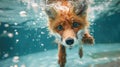 Hilarious underwater scene fox in pool plays deep dive action, Ai Generated