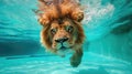 Hilarious underwater scene lion in pool plays deep dive action, Ai Generated