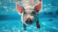 Hilarious underwater scene pig in pool plays deep dive action, Ai Generated
