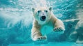 Hilarious underwater scene polarbear in pool plays deep dive action, Ai Generated