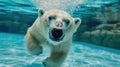 Hilarious underwater scene polarbear in pool plays deep dive action, Ai Generated