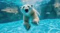 Hilarious underwater scene polarbear in pool plays deep dive action, Ai Generated