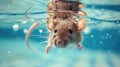 Hilarious underwater scene rat in pool plays deep dive action, Ai Generated