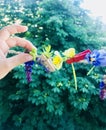ÃÂ¡hildren`s hand and spring flowers