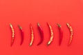 ÃÂ¡hili pepper on a red background