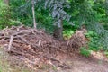 Hill with accumulated dry tree branches in a straight line towards a downstream river