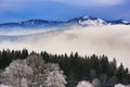 Hill, Arber (Germany), Cloudes and trees, winter landscape in ÃÂ umava in ÃÂ½eleznÃÂ¡ Ruda, czech republic