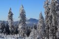 Hill Arber (Germany), Cloudes and trees, winter landscape in ÃÂ umava in ÃÂ½eleznÃÂ¡ Ruda, Czech republic