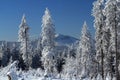 Hill Arber (Germany), Cloudes and trees, winter landscape in ÃÂ umava in ÃÂ½eleznÃÂ¡ Ruda, Czech republic