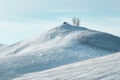 A hill covered in snow with trees standing tall on top, creating a wintry landscape, Snowy hill with a single sleigh on top, AI Royalty Free Stock Photo