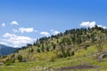 Hill Covered Sparsely with Pines