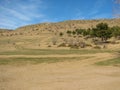 Hill covered of yellow grass under clear blue sky Royalty Free Stock Photo