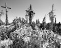 The Hill of Crosses