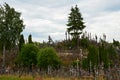 Hill of the Crosses, Lithuania. Christ, religion.