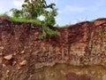 Hill cutting Environmental consequences of hill cutting are land slide, soil erosion, Flush Flooding and water logging during Royalty Free Stock Photo