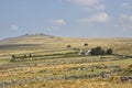 Hill farming on Dartmoor Yellowmeade Farm