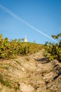 Hill of Fleurie village Royalty Free Stock Photo