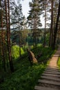 The Hill Fort of Naujoji Reva in Silenai cognitive park near Vilnius, Lithuania