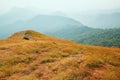 A hill full of grass During the time of strong sunlight