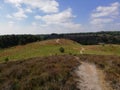 Hill full of heather with a gravel path