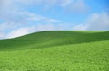 Hill with green grass