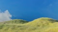 Hill and green grass over blue sky nature scene 3D renderi