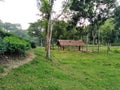 Hill hut in tea Garden Royalty Free Stock Photo