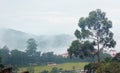 Hill landscape of the kodaikanal tour place. Royalty Free Stock Photo