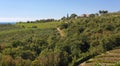 Hill Landscape between Muggia and Ankaran Royalty Free Stock Photo