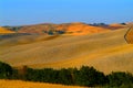 Hill landscape tuscany Royalty Free Stock Photo