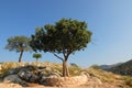 Hill of Mycenae in Greece