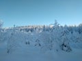 Hill over a frozen plain in Lappland