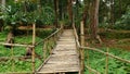 Hill resort wooden bridge