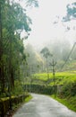 A hill road with beautiful mist in the kodaikanal tour place. Royalty Free Stock Photo