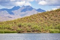 Hill of Saguaro Cacti in front of Four Peaks Mountains Royalty Free Stock Photo