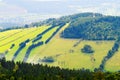 Hill slope covered with green grass and spruce trees in the Owl Mountains, Sudetes, Poland. Royalty Free Stock Photo