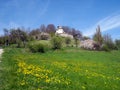 On the hill among the summer trees, the old church in the park against the background of the blue sky Royalty Free Stock Photo