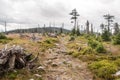 Hill summit with mountain meadow, isolated trees and hiking trail Royalty Free Stock Photo