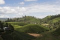 Hill and Tea plantations. Ella, Sri Lanka.