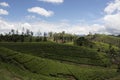 Hill and Tea plantations. Ella, Sri Lanka.