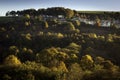 Hill top trees and houses Royalty Free Stock Photo