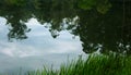 Hill tree reflections on the kodaikanal lake. Royalty Free Stock Photo