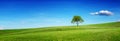 Hill with tree under sky Royalty Free Stock Photo