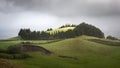 HIll with trees nature view Azores Sao Miguel Portugal