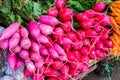 Hill Tribe Pink Radish in Thai Market