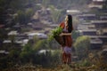 Hill tribe women carrying baskets to collect flowers