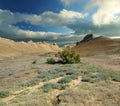 Hill and valley on the plateau. Ustyurt