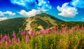 Hill Velky Krivan in mountain range Mala Fatra, Slovakia Royalty Free Stock Photo