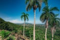 Hill view on palms tree. Panorama mountains with tropicals palnts Royalty Free Stock Photo